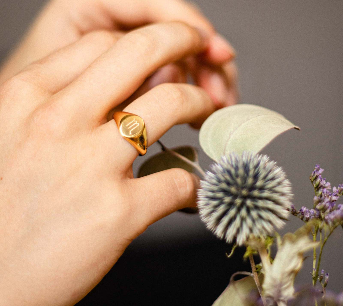 Alizée Sternzeichen Ring