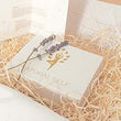Natural Self Filter Verpackung