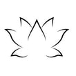 Lotus Icon Natural Self Produkte