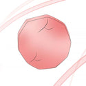 Rhodochrosit Filter Icon