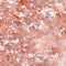 Natural Self Sonnenstein Icon
