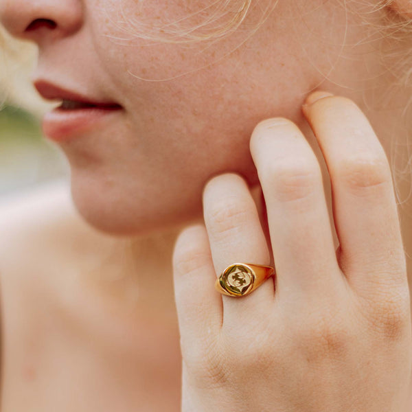 Natural Self Sternzeichen Zodiac Schmuck Fische Pisces